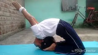 YOGASANAM | YOGA NERAM | Noikalai Thirkkum | Presented By  Aasai Thosai Channel