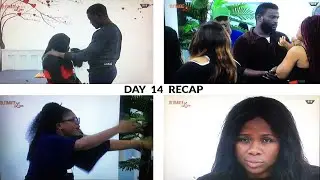 Ultimate Love - BOLANLE SNITCHED ON JENNY KOKO & LOUIS | LOUIS & CHERRY IN MEGA FIGHT & More