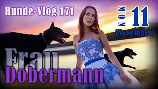 Epic Slow-Mo: High quality 4k cinematic beautiful dog videos #emotionalstory #dobermans #dobermandog