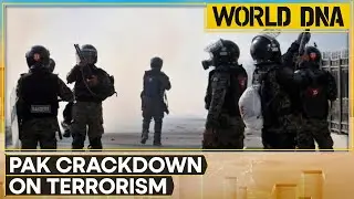 Pakistan Terror Crackdown: 270 Terrorists Killed In Pak's Khyber Pakhtunkhwa Province In 2024 | WION