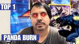 TOP 1 PANDA BURN Deck Profile - Goat Format Argentina
