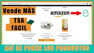 Como Usar Content EGG Con la API de Amazon en Un TSA