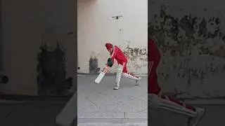 Cricket Practise ☠️ #cricket #cricketshorts