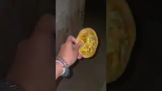 Додо завёлся в подвале 🍕🙀&nbsp;#юмор&nbsp;#додо&nbsp;#ктоэтосделал&nbsp;#додопицца