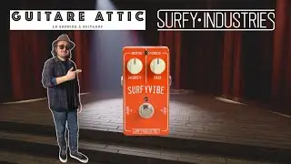 SURFYVIBE by Surfy Industries - What if Vibe was the coolest modulation effect?