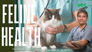 Feline health, all about cat health : Dr. Vinod Sharma