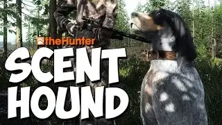 HUNTING WITH SCENT HOUNDS - theHunter 2016 Gameplay w/leeroy