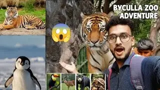 Finally Etne Nazdik Se Tiger dekh liya😱|| Byculla Zoo Mumbai || Rani Baugh#bycullazoo#ranibagh#vlog