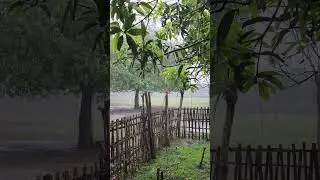 Tempest Within &mdash; Rainy Piano for Focus & Relax