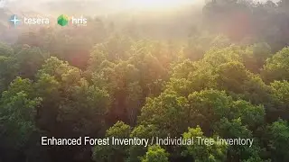 Enhanced Forest Inventory (EFI) and Individual Tree Inventory (ITI) and HRIS