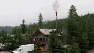 Whistler Tree Building Company