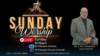 MTP Live