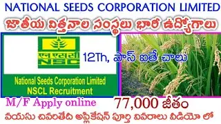 NSC RECRUITMENT 2020||NSC NEW VACANCY UPDATE NEWS||ALL INDIA GOVT JOBS IN TELUGU