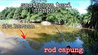 spot paya tepi sungai || casting haruan guna soft plastic & spinner bait || @adyflychannel