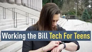 Legislative Branch Explained: Working the Bill