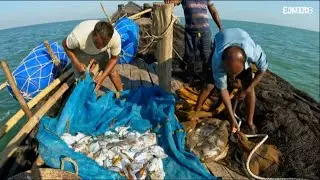 孟加拉海湾捕鱼，一趟161海里一个礼拜左右，船员五个一个人每天20元工资赚钱吗？