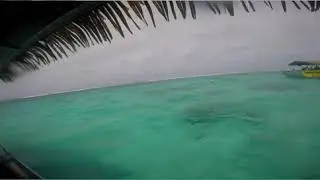 Captain Tamas lagoon cruises in Rarotonga