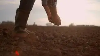 slow motion farmer examining the soil the farmer touches the ground with his hands black
