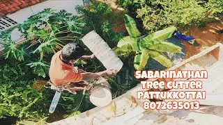 #Sabarinathan резак для деревьев pattukkottai 8072635013