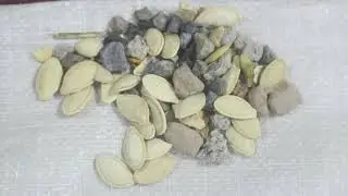2 Ton/Saat Kapasiteli Kabak Çekirdeği Eleme Tesisi.