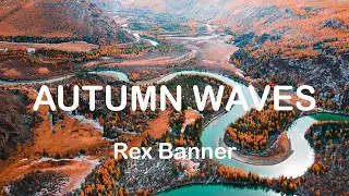 Autumn Waves - Rex Banner