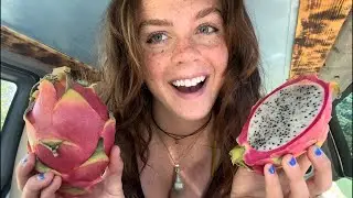 ASMR Eating Dragon Fruit | LIVESTREAM