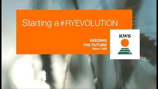 Starting a #RYEVOLUTION &ndash; The future belongs to KWS hybrid rye