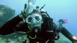STINAPA Junior Rangers Explore: Sharks & Ecocide
