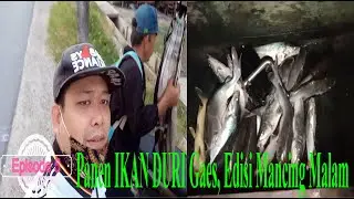 Mancing Ikan Duri Malam Hari Sampai Pagi