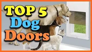 ✅ Top 5: Best Dog House Door For Cold Weather 2022 [Tested & Reviewed]