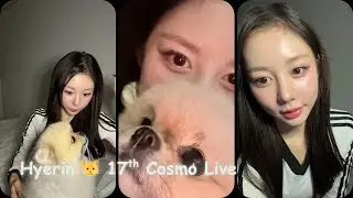 [ENG SUB] 260108 tripleS(트리플에스) Hyerin(혜린) 🐱 17th Cosmo Live(코스모 라이브) ft. Doggo
