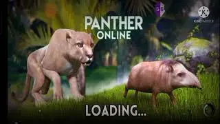 panther online : All codes no Cooldown 😉