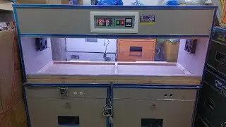 PARROT BROODER || BEST Quality Brooder || lovebirds raw yellowringneck grey macaw paroot chicks