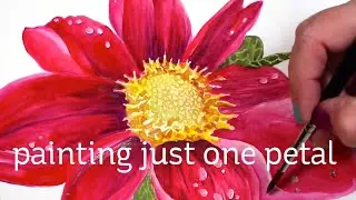 Watercolor Painting just one pink petal