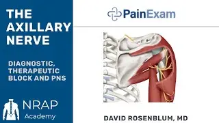 Axillary Nerve Block- PainExam Ultrasound Series in Collaboration with ASIPP
