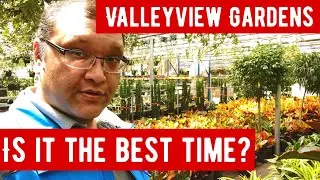 Valleyview Gardens Tour | Best Time To Plant Trees In Backyard