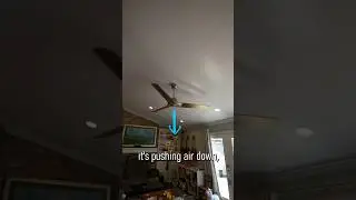 Which Way Should Your Ceiling Fan Turn