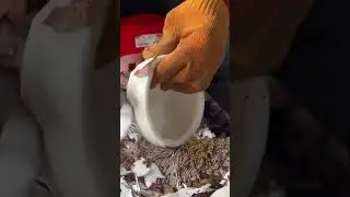 This is Hainan coconut from China #coconut
