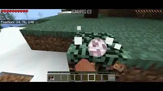 Minecraft Survival series (pocket edition)@NighyFlash-q7g