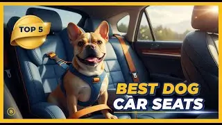 TOP 5 Best Dog Car Seats 2026 | Keep Your Pup Safe and Secure on the Road