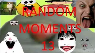 Random Moments 13: New Year, New Funny