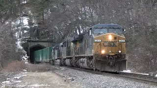 A Day of Action on CSX's River Line at Iona Island and Mine Dock Park - 02/08/2025