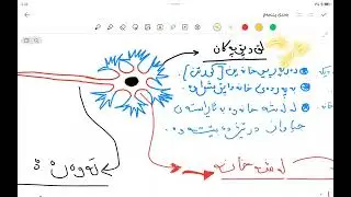 مامۆستا ئەمجەد طه بابەتی پۆلی 12 بەندی 4 کەرتی یەکەم بەشی یەکەم