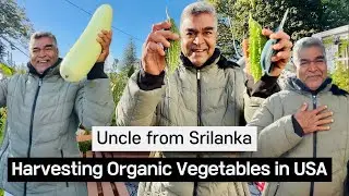 A Taste of Sri Lanka in Our Backyard! Karela Harvest & Awesome Gifts from Uncle!