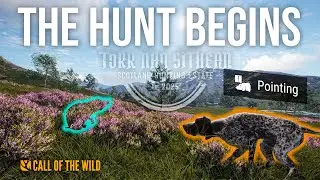The Haggis Hunt Continues on Torr Nan Sithean! (Shorts)
