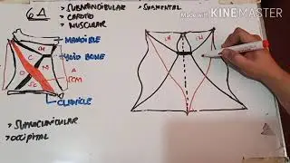 Triangles of Neck Made Easy ;)