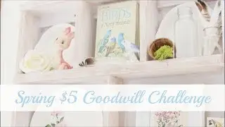 $5 Goodwill Challenge - Spring