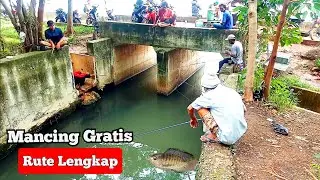RUTE || Spot mancing GRATIS di Jakarta Utara, 野生の釣りスポット