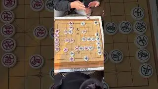 美娜公园挑战赛 老头输急眼了#象棋 #中国象棋