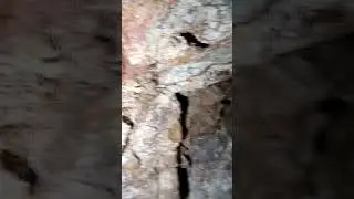 Gold Basin AZ, Prospecting a Mine shaft